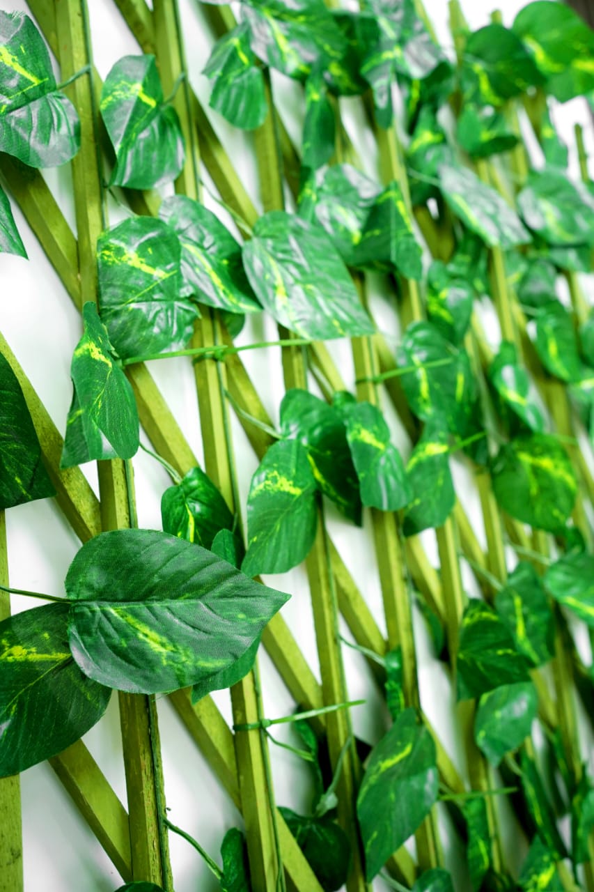 Green Frame Artificial Fence