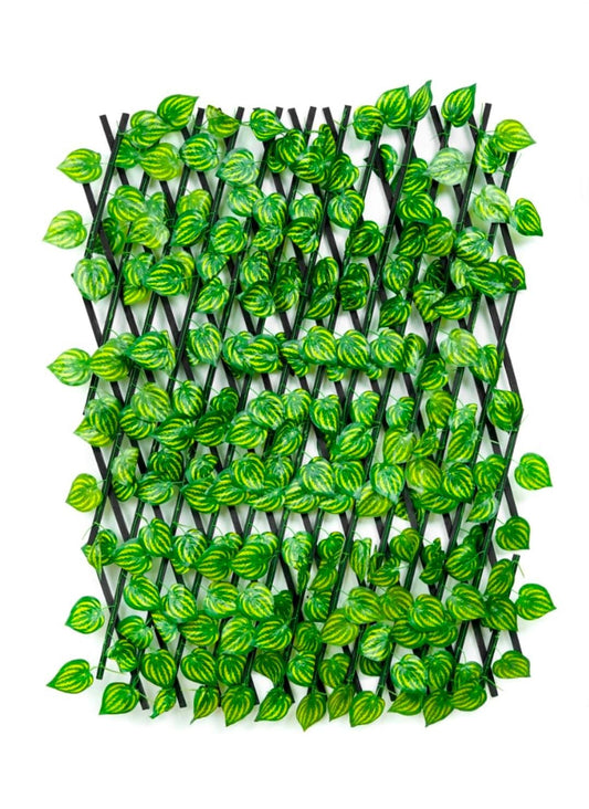 Artificial Leaf Fence – Black Frame